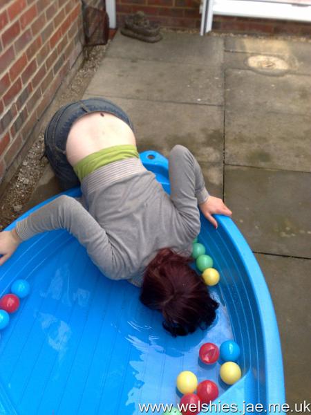 2010-06-26 08.jpg - I'm going to get it....